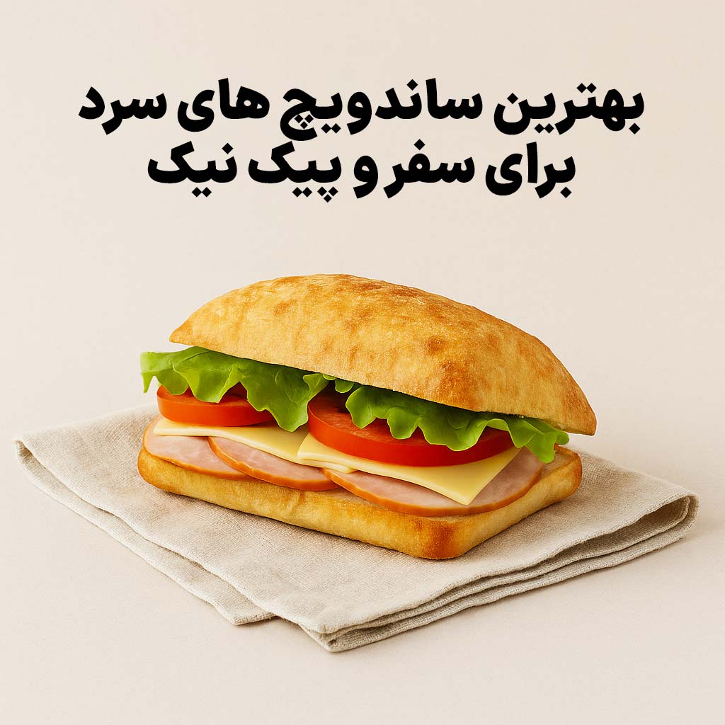 بهترین ساندویچ سرد برای سفر و پیک‌نیک